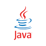 Best Java Developer